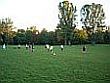 Fußballfreunde Park